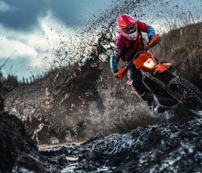 开云体育平台APP-阿拉巴关键回合不手软，突尼斯提前终结悬念，贝蒂斯战术困局待解