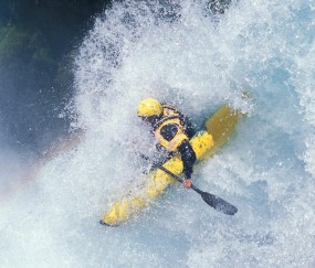 开云体育登录-伦纳德一剑封喉，黄蜂逆转森林狼，一场提前终结悬念的战术艺术