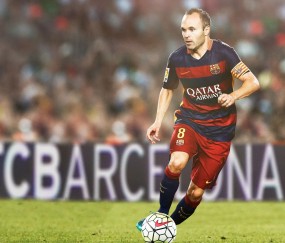 开云体育-逆转的意志，兹维列夫带队法网夺冠，重振德国戴维斯杯荣光