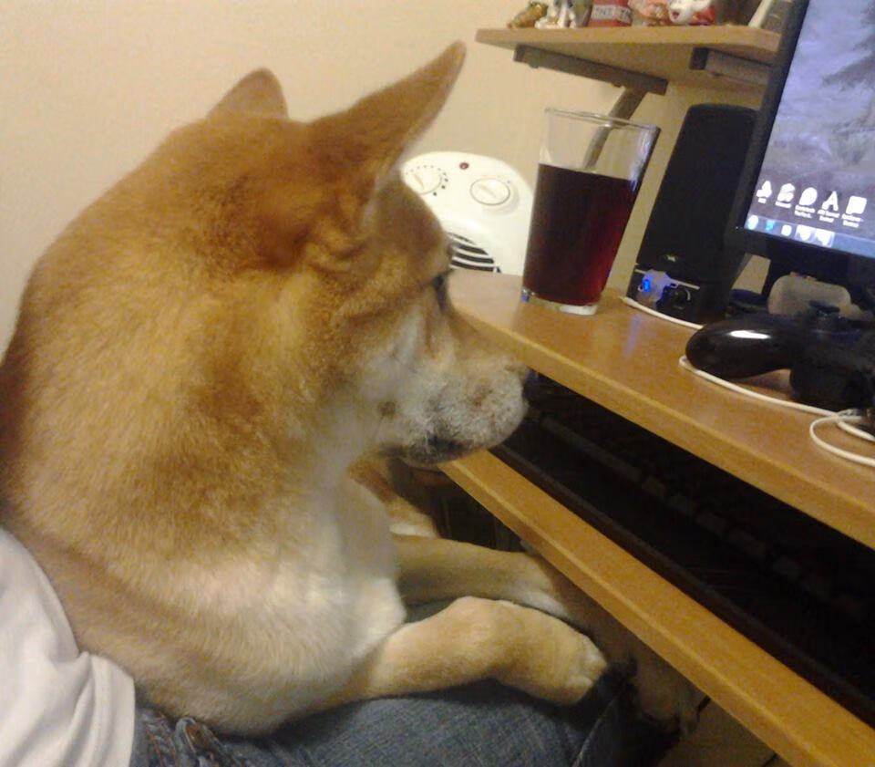 戈麦斯封神之战,美加墨世界杯的日耳曼意志,生死时刻击碎阿根廷神话